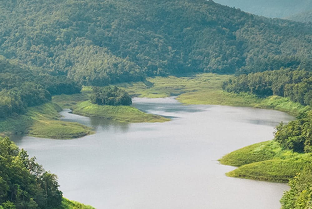 Clean river running through a forest.