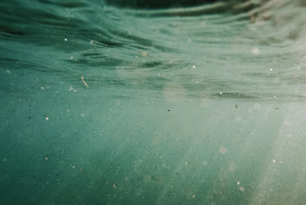 Microplastics floating in water